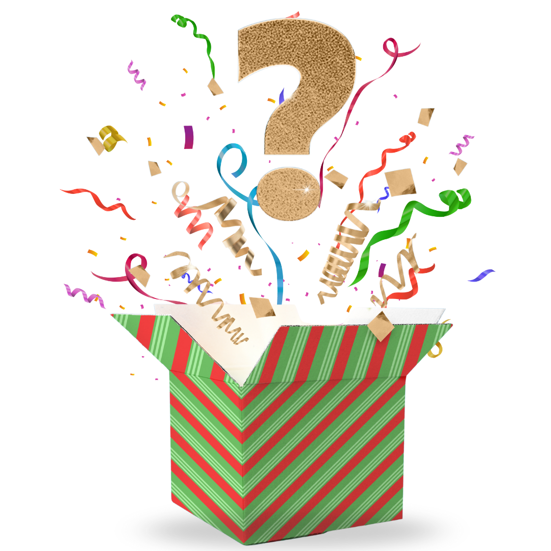 ¡MYSTERY BOX! CAJA MISTERIOSA